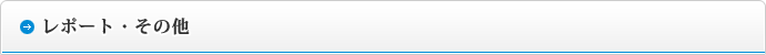 レポート・その他